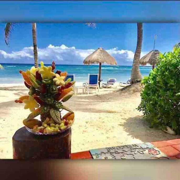 Beachfront Akumal Half Moon Bay Exterior foto